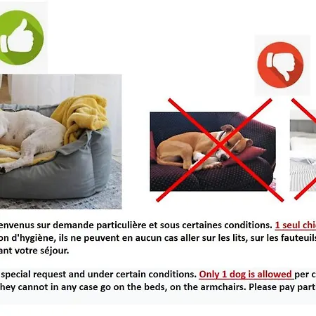 Terre De Ciel * Ferrieres