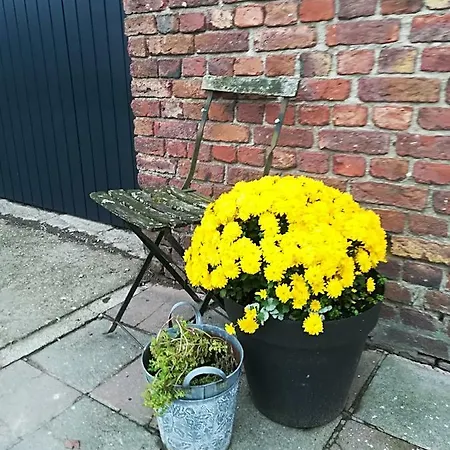 Terre De Ciel Vakantiehuis *