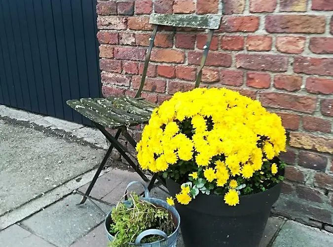 Terre De Ciel Σπίτι διακοπών *